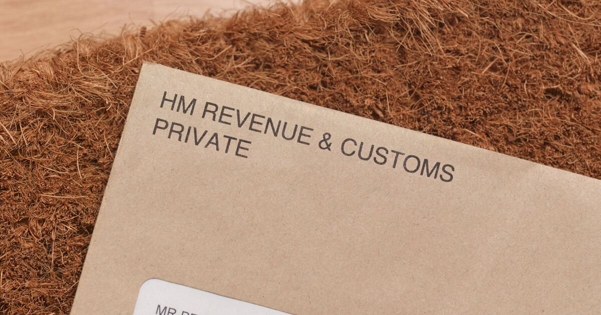HMRC Urges Seasonal Workers to Carefully Check December Payslips