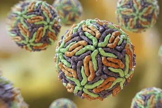 Health Experts Recommend Four Precautions for Holidaymakers to Avoid Mosquito-Borne Viruses