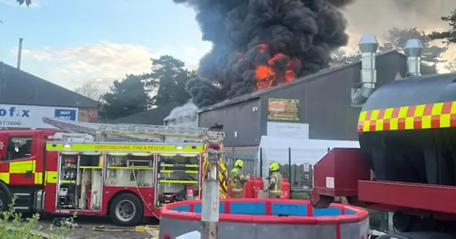 Fire at The Jungle Box Mini-Zoo Claims Lives of All Animals