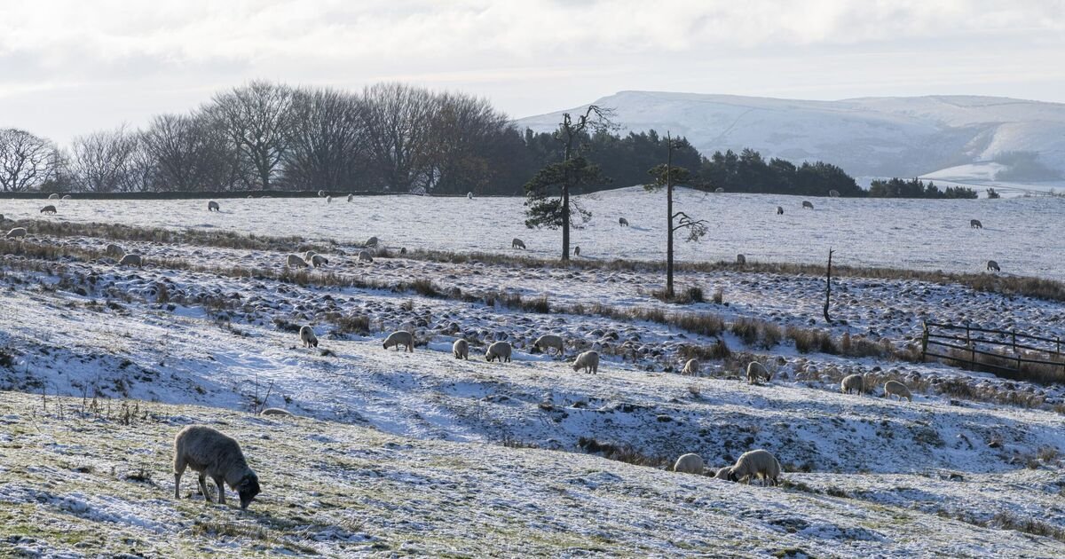 UK Households Advised to Check Smoke Detectors Amid Snow Warnings