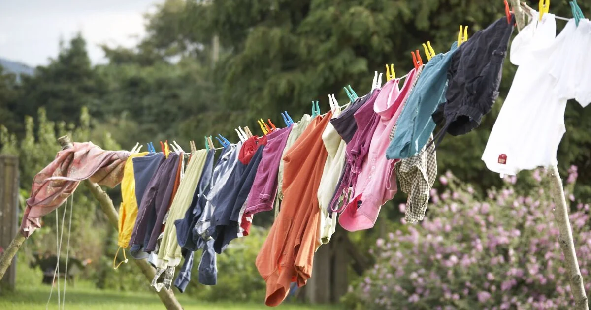 Households Advised to Avoid Washing Lines Starting in March Due to Pollen Risks