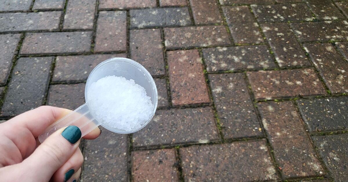 Households Urged to Use Dishwasher Salt to Prevent Icy Driveways