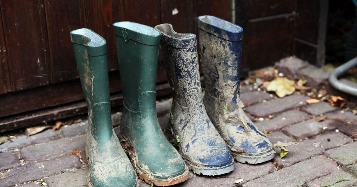 UK Households Urged to Wash Shoes and Clothes Amid New Disease Spread