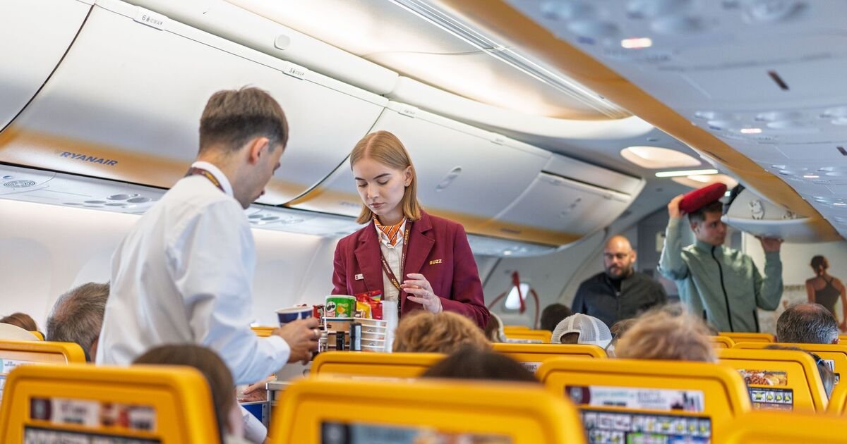 Flight Attendant Shares Reasons for Bringing Own Snacks on Flights