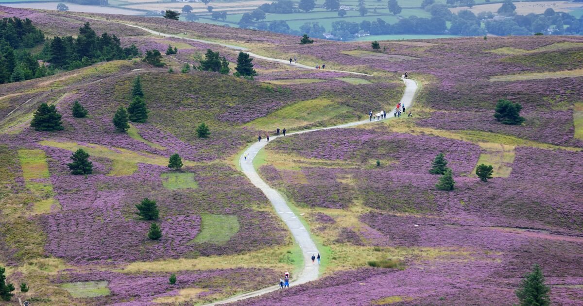 Wales' Hidden Gem Gains Recognition for Stunning Landscapes and Outdoor Activities