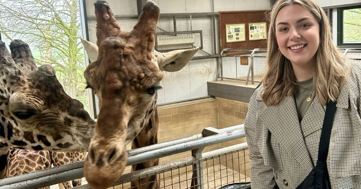 Cotswold Wildlife Park Named UK's Best Zoo with £19 Entry Fee