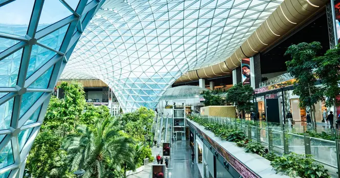 Singapore Airport Recognized as One of the World's Best with Unique Amenities
