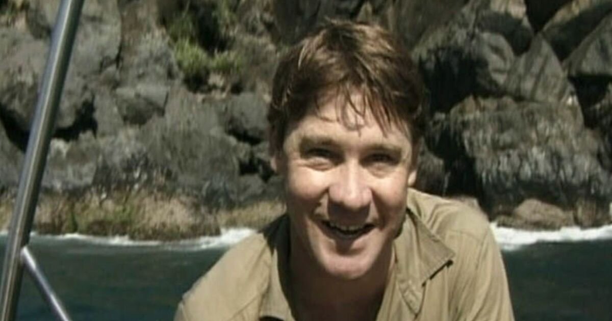 Steve Irwin's Death: Wildlife Expert Fatally Injured by Stingray in 2006