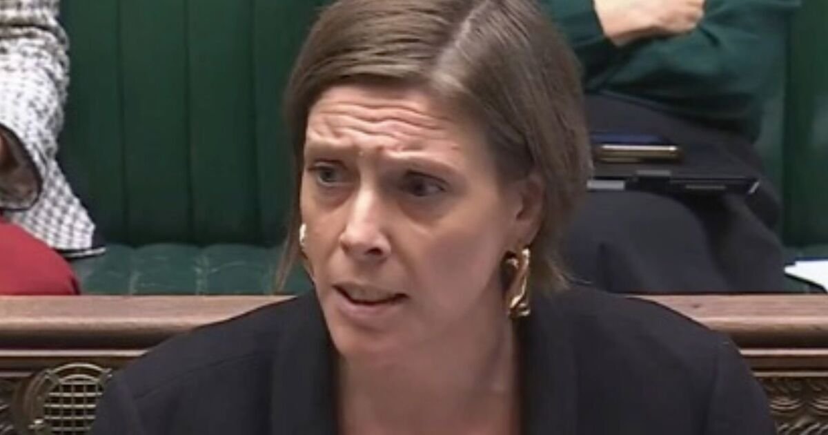 Labour Unveils Plans for Anti-Misogyny Courses for 11-Year-Old Boys Amid Backlash