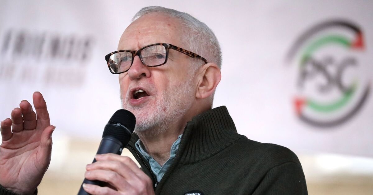 Your Party Faces Crisis Amid Zarah Sultana Dispute Ahead of By-Election