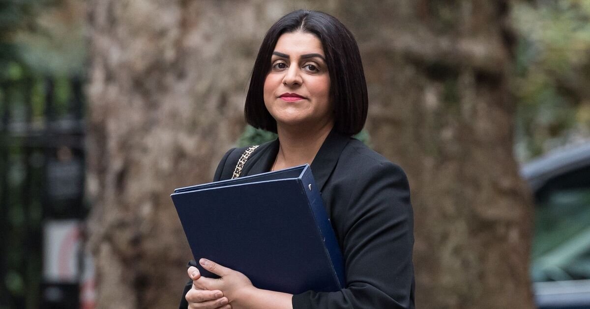 Labour's Shabana Mahmood Faces Calls to Deport 'Extremist' Alaa Abd El-Fattah