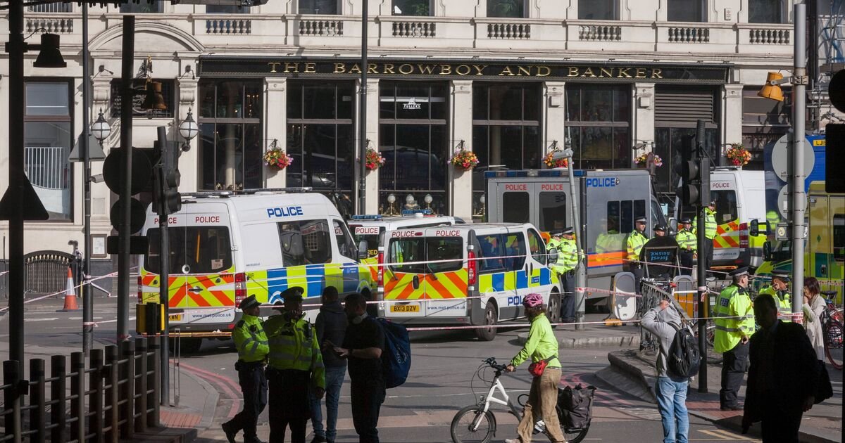 Police Officer Dismissed for Disparaging Traveller Messages After London Bridge Attack