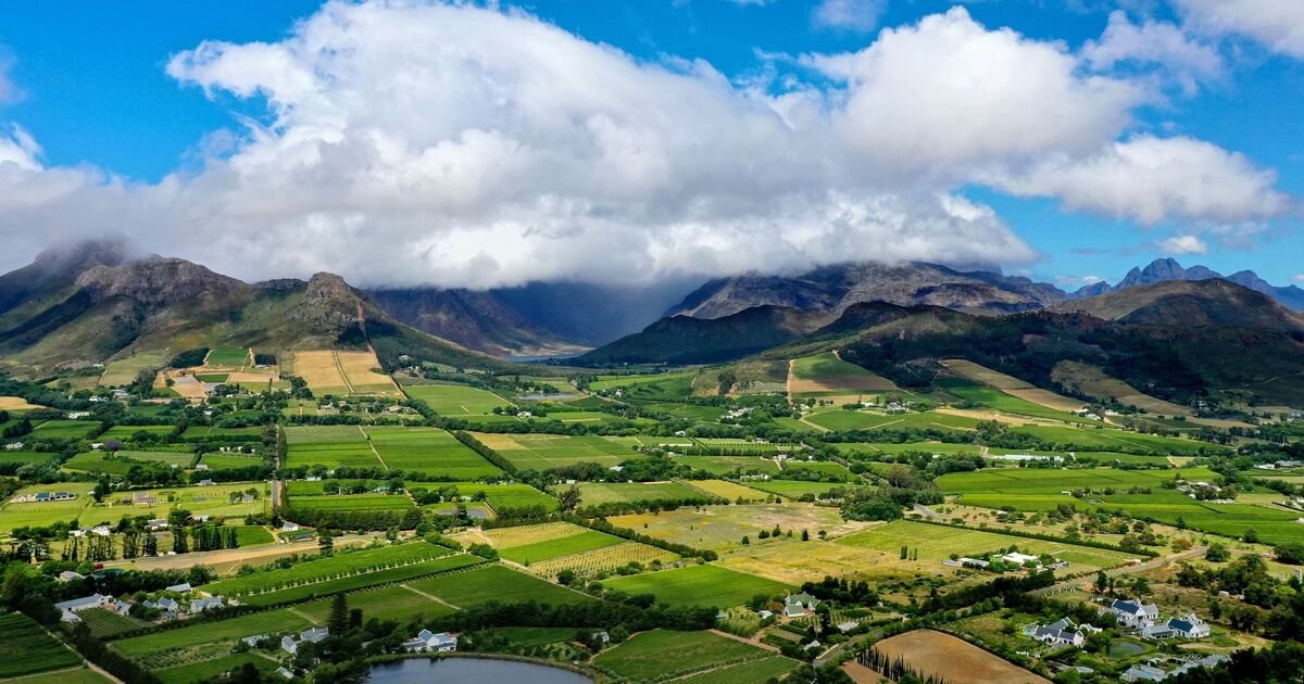 Love Island All Stars Filming Suspended Amid Wildfire Threat in South Africa