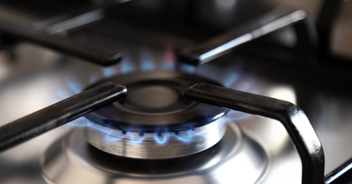 Major Energy Company to Provide £150 Savings for Customers Starting April