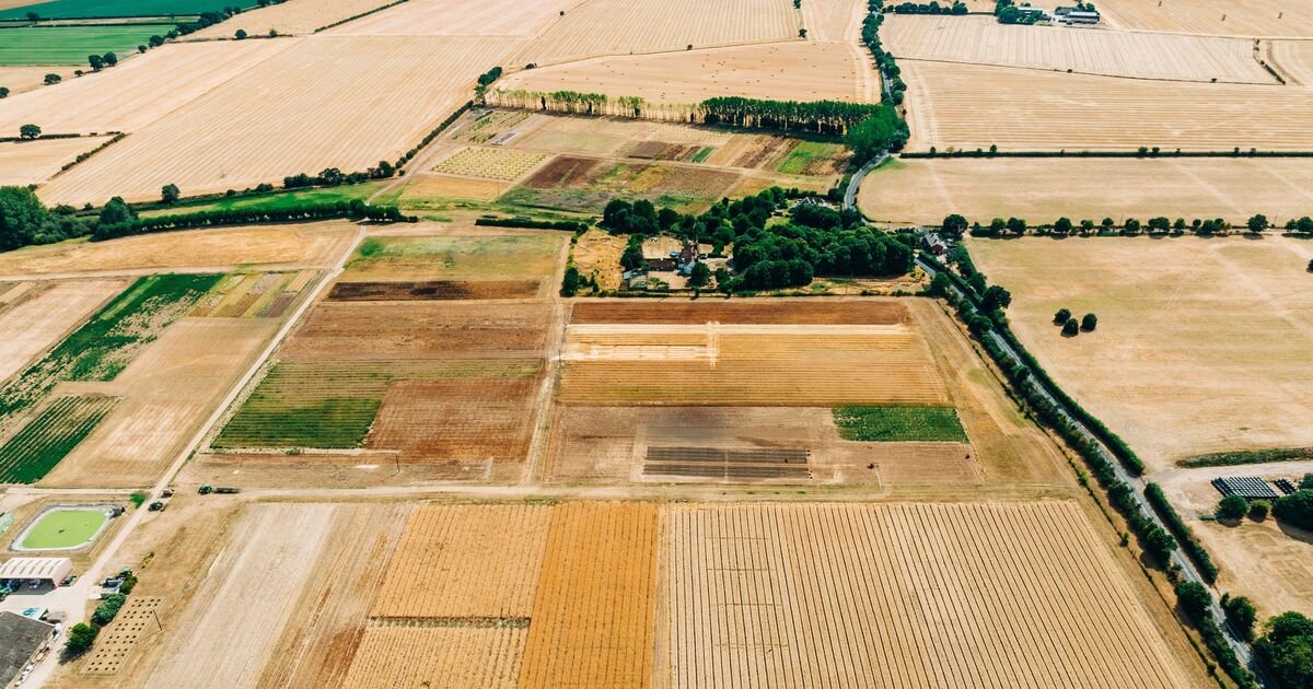 UK Organisation Unveils Drought Strategy to Safeguard Tourist Attractions