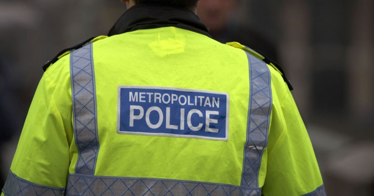 22-Year-Old Fatally Stabbed in Daylight Attack in Wembley