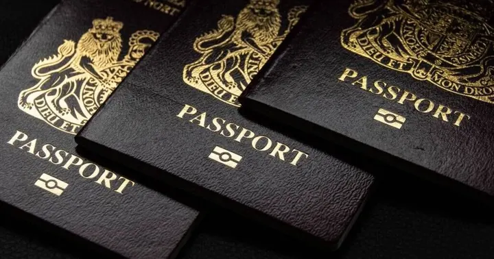 MSE Advises Urgent Passport Checks Ahead of April 8 Fee Increases