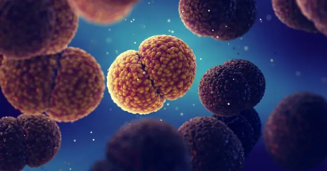 Meningitis Symptoms to Watch For After Recent Reading Outbreak