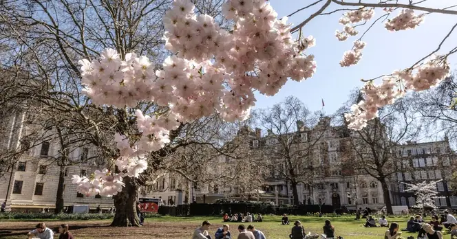 Met Office Predicts Hottest Day So Far This Year with 28°C Expected on Friday