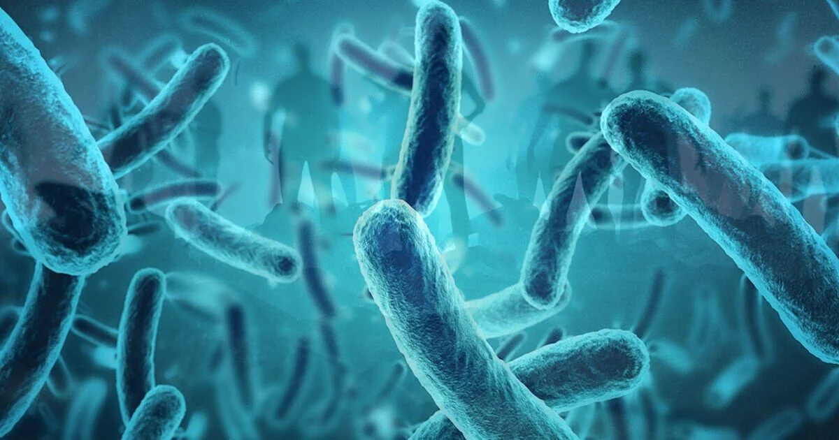 Research Highlights Risks of Harmful 'Zombie Cells' and Their Impact on Health and Aging