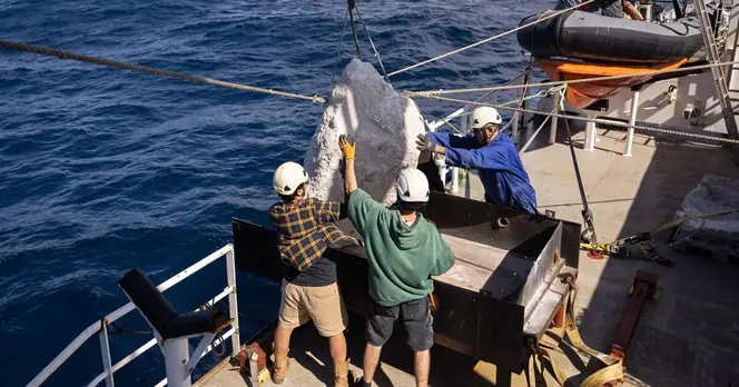 Ministers Urged to Use Brexit Powers Against EU Fishing Practices in UK Waters