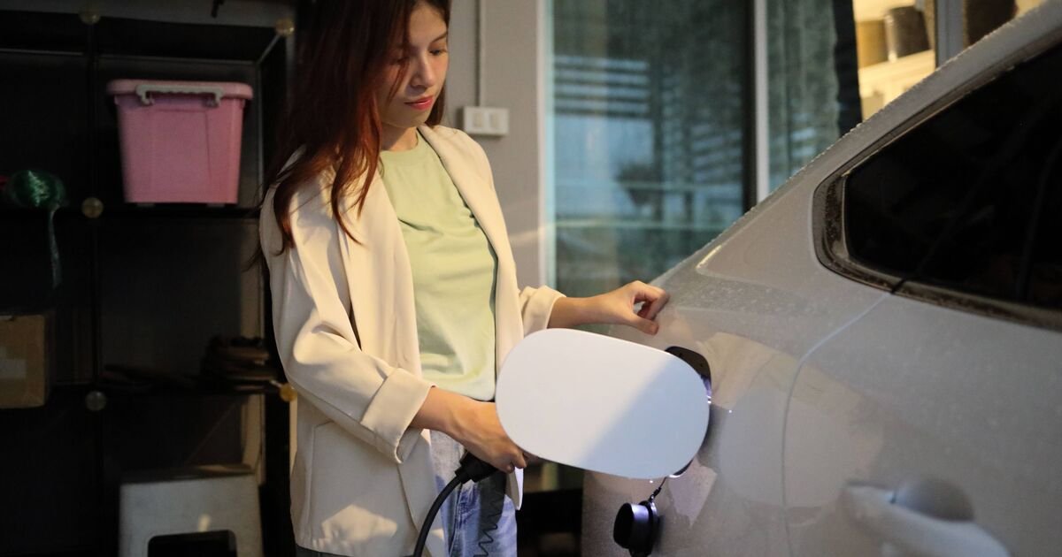 Ministers Urged to Strengthen Regulations on EV Batteries Amid Trust Issues