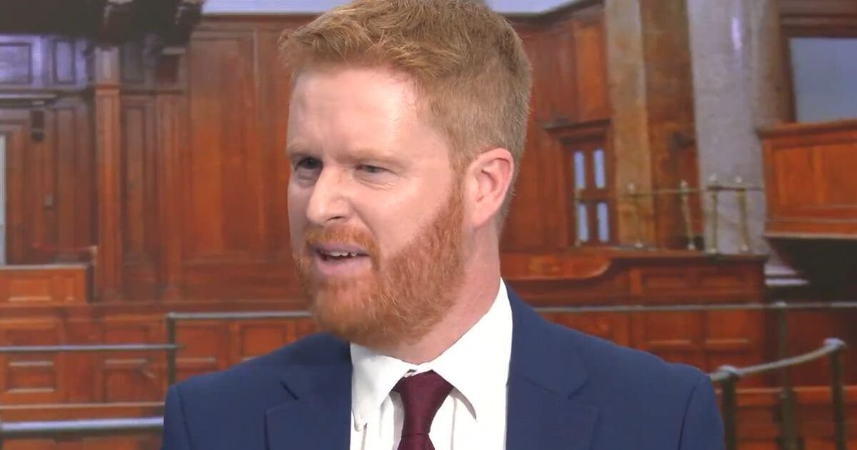 Prince Harry Lookalike Reads Court Statement in Controversial Live Broadcast