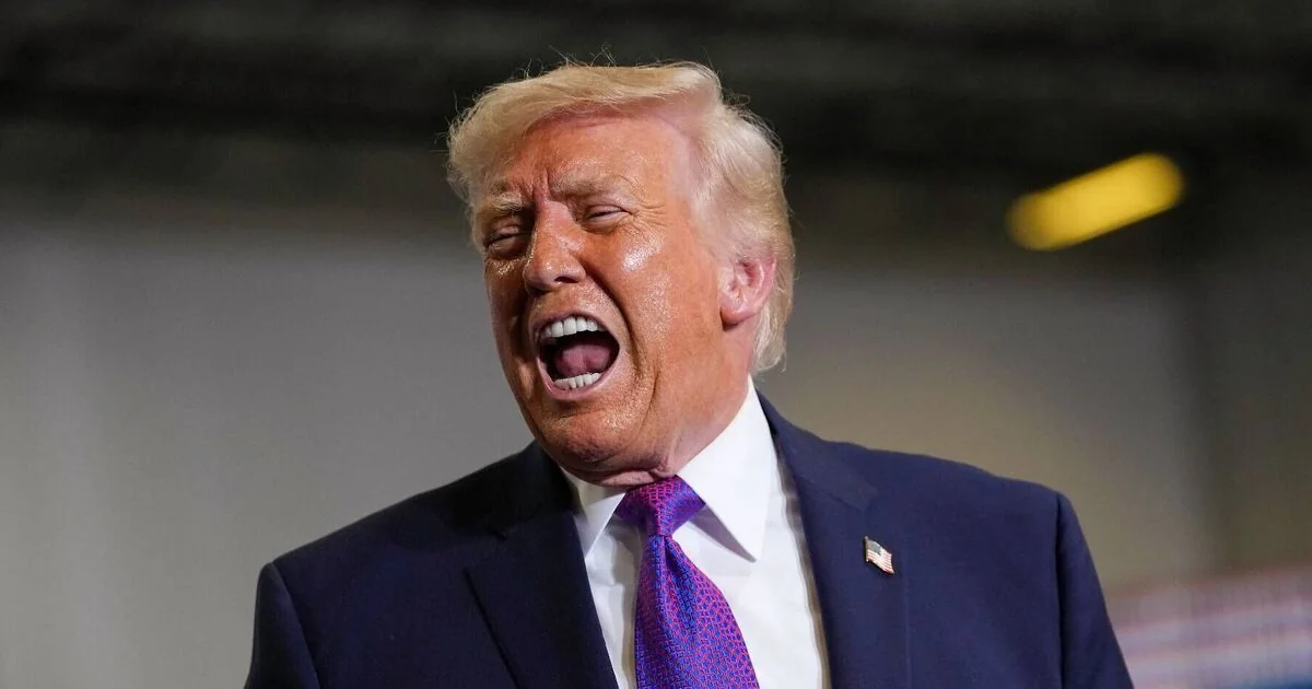 Mary Trump Critiques Uncle Donald Trump's Global Impact and Leadership Style