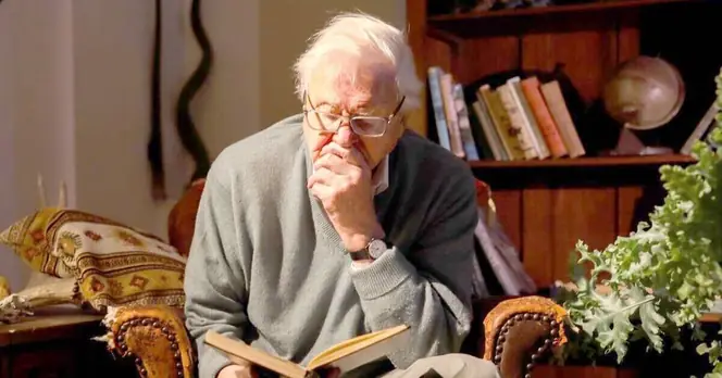 Attenborough's *A Gorilla Story* Lauded as Year’s Most Engaging Documentary