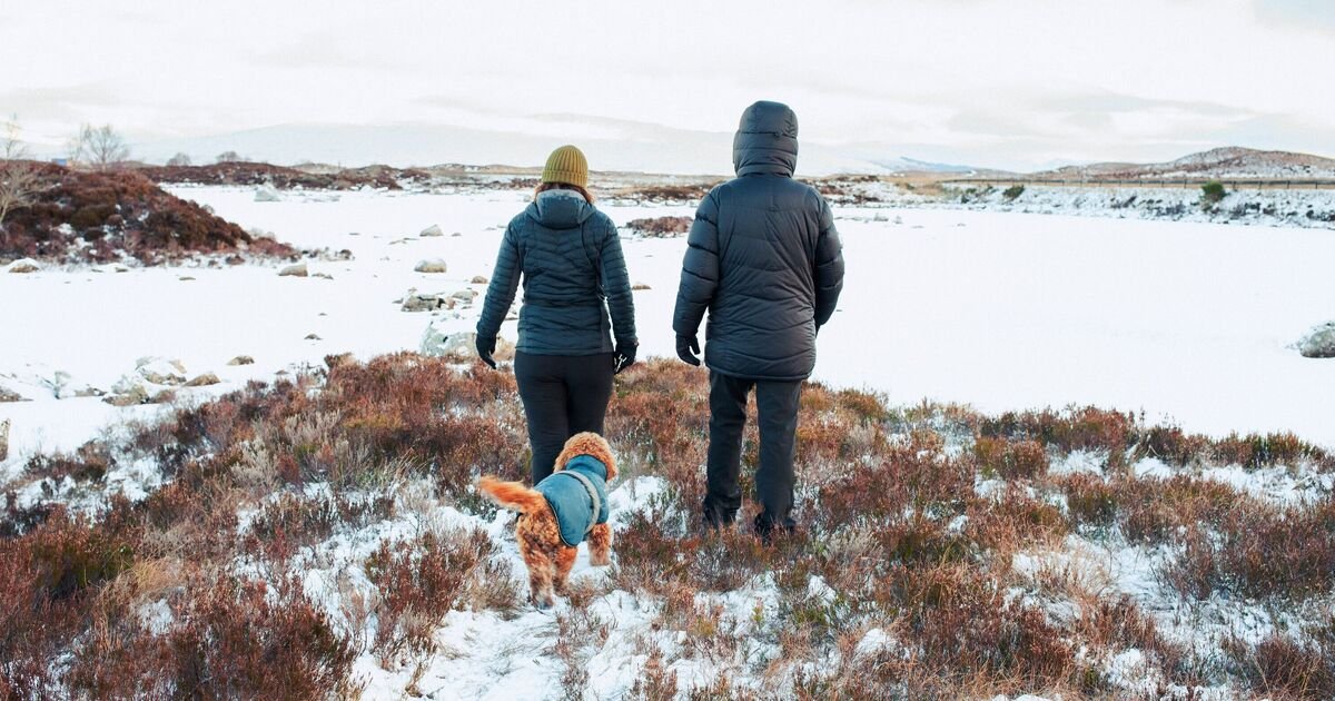 Significant Snowfall Expected in 18 English Cities, Warns Met Office