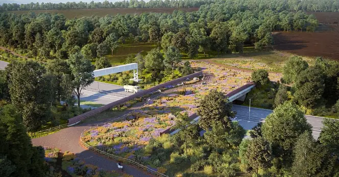 New £3.7 Million Wildlife Bridge to Enhance Biodiversity in Scotland