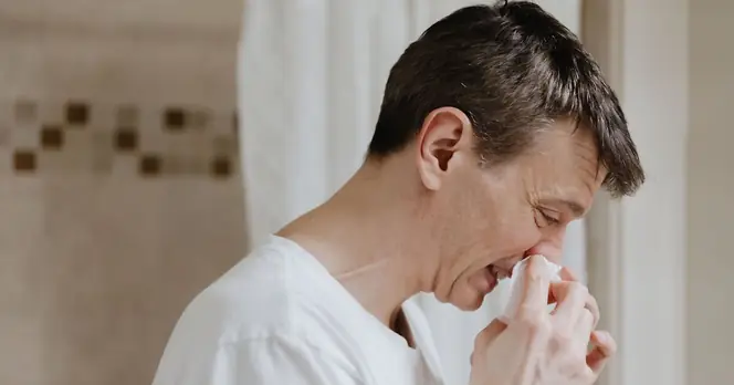 NHS Advises Millions to Use Vaseline on Noses for Hay Fever Relief