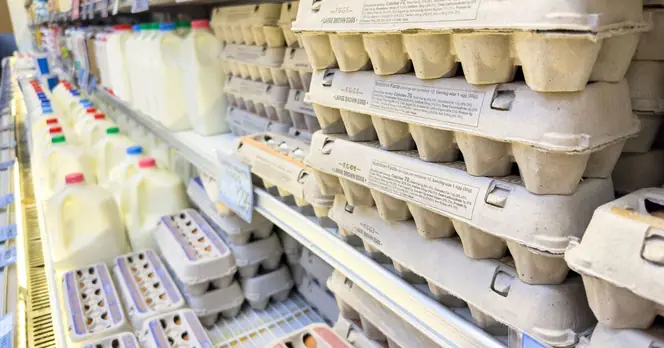 Nutritionist Encourages Shoppers to Check Egg Codes for Better Animal Welfare Awareness
