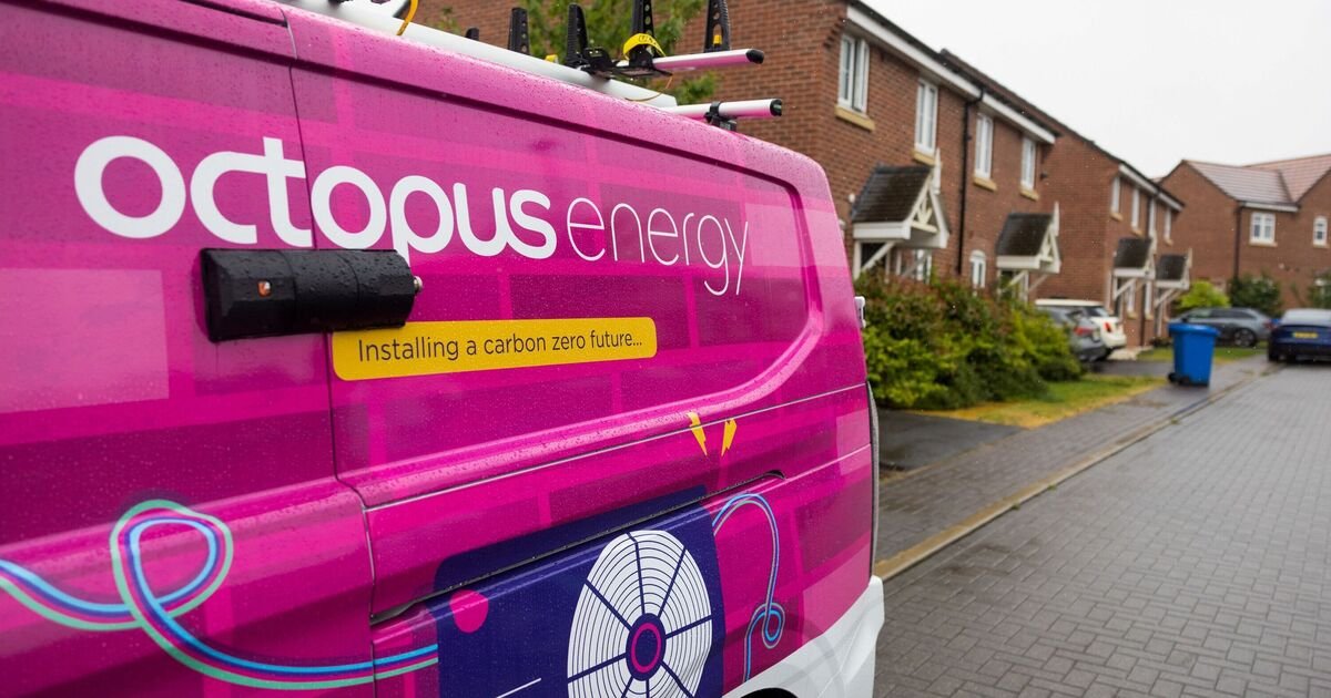 Octopus Energy Reveals Two Simple Changes for £115 Annual Savings
