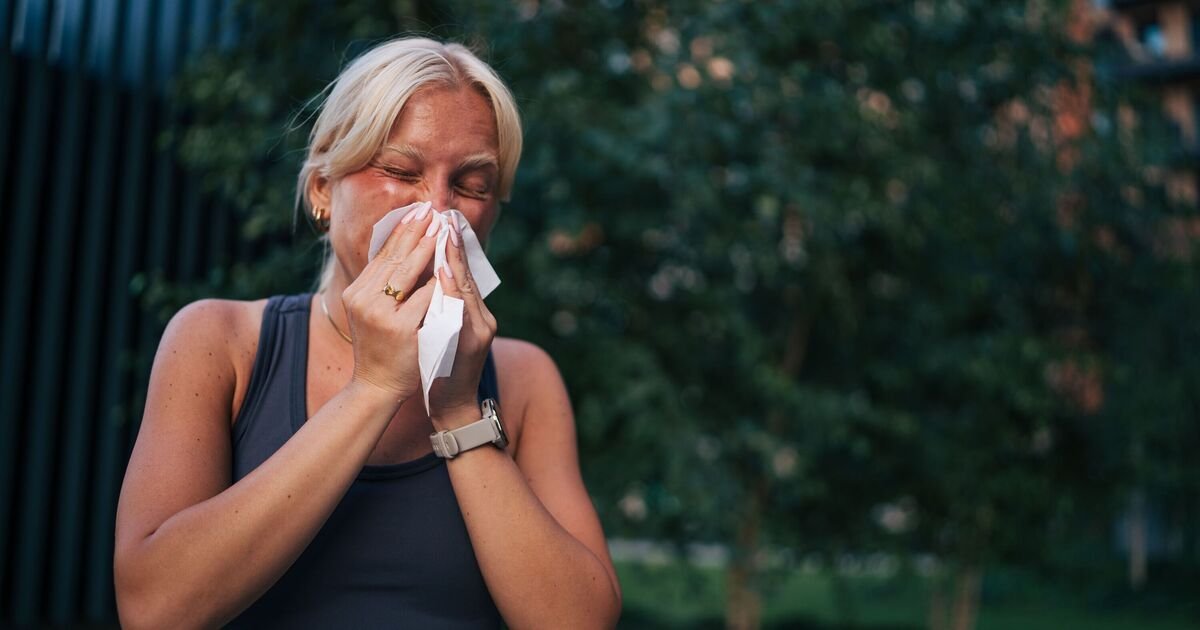 Optician Advises Hayfever Sufferers to Avoid Certain Household Items to Reduce Symptoms