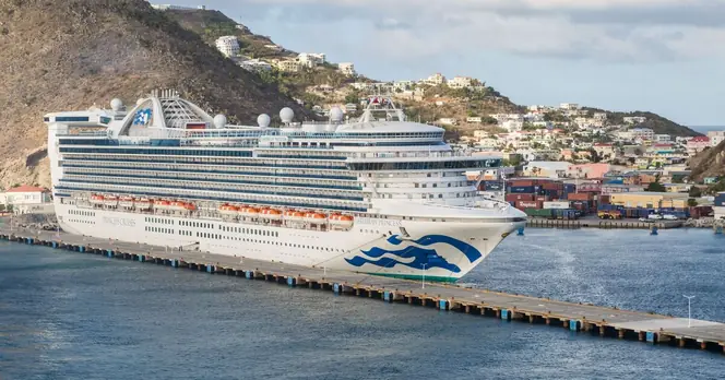 Cruise Ship Docking in Florida Reports 110 Norovirus Cases Among Passengers