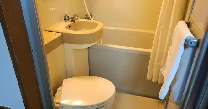 Passengers Confused as Buckets in Cruise Ship Toilets Found for Waste Disposal