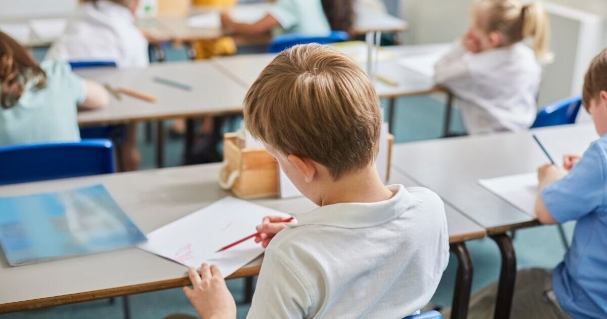 Debate Rises Over Primary School Gender Transition Rights in the UK