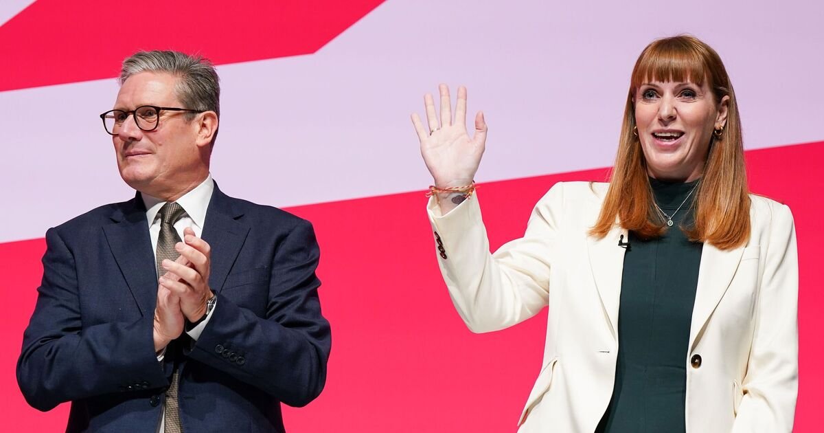 Poll Reveals Diverging Views on Angela Rayner as Future Labour Leader