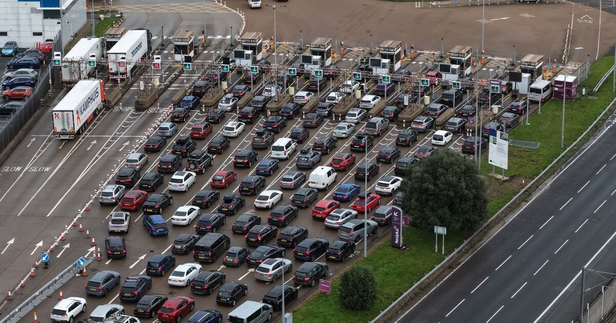 Port of Dover Faces Hour-Long Delays Due to IT Glitch During Holiday Travel