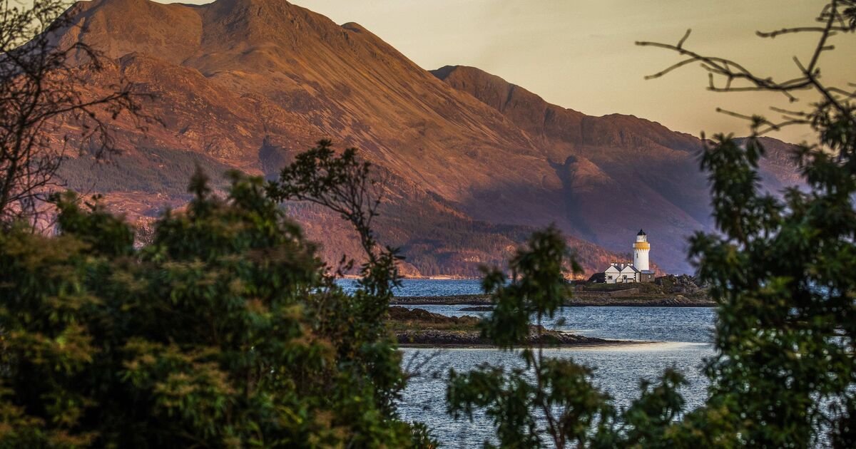 Private UK Island Offers Christmas Getaway for Just £20 Amid Digital Detox Trend