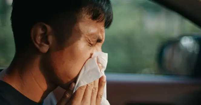 RAC Recommends Changing Cabin Air Filters to Alleviate Hay Fever Symptoms for Drivers