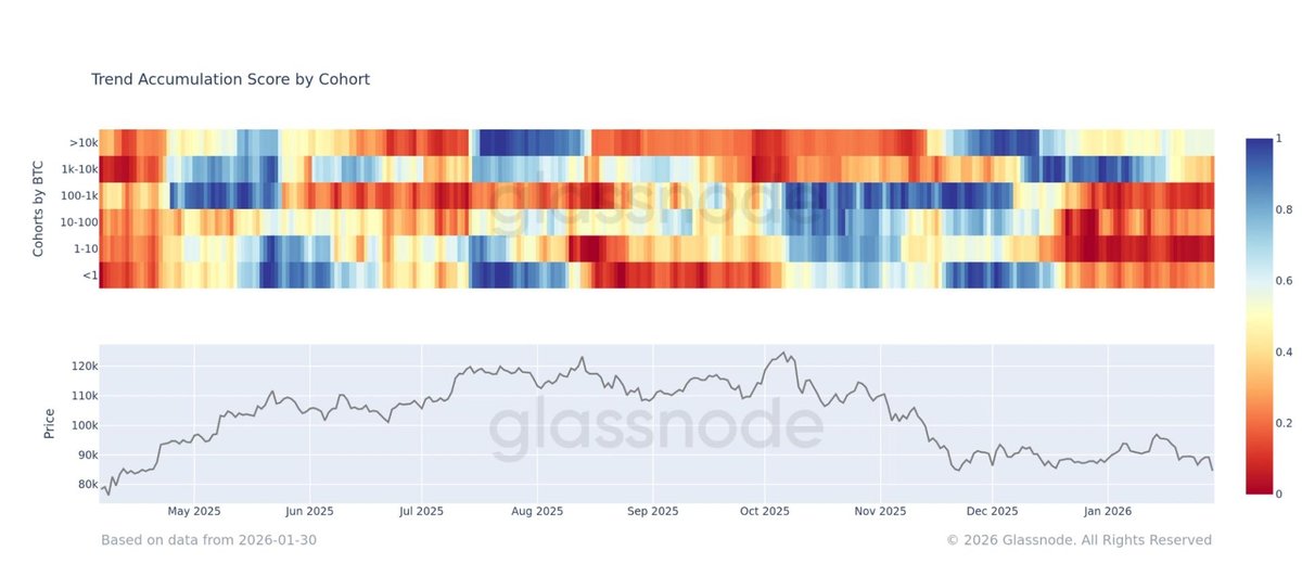 Retail Traders Withdraw as Bitcoin Selloff Encourages Mega-Whales to Buy