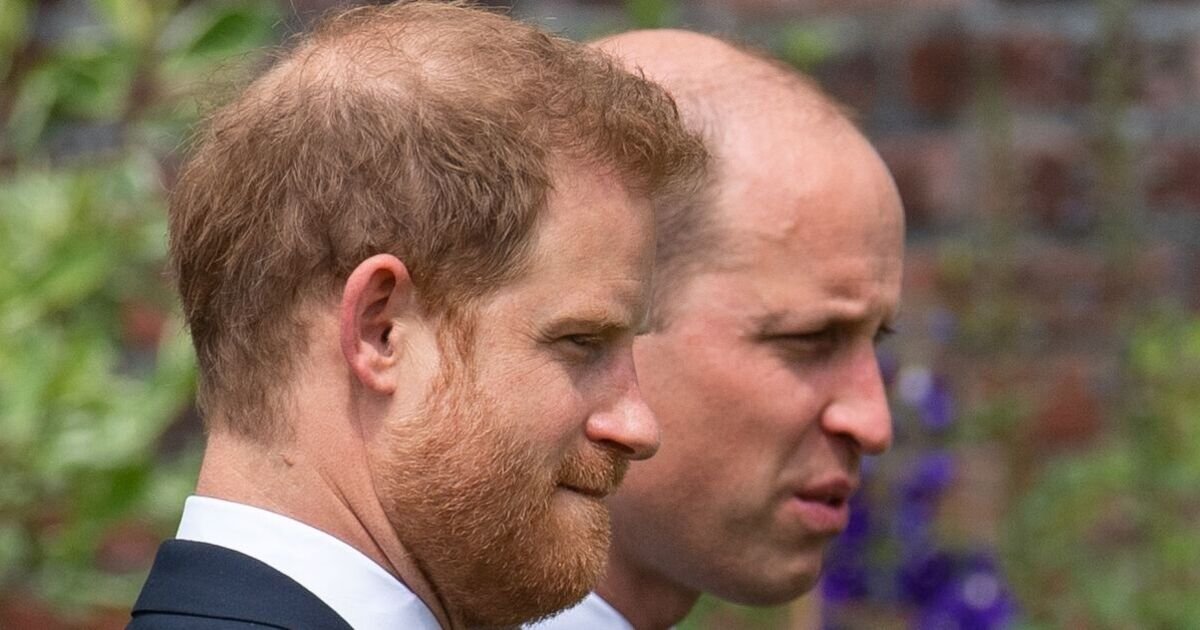 Prince William's Choice Marks Deepening Rift with Prince Harry, Expert Warns