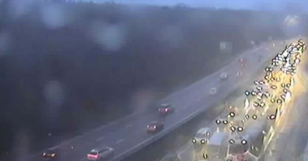 Loose Horses Cause Major Traffic Delays on A3 During Rush Hour