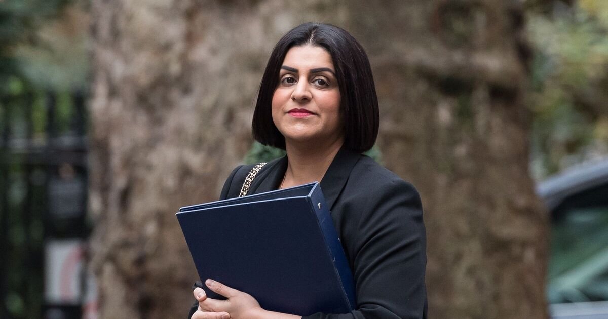 Shabana Mahmood Under Fire for Inaction on Asylum System Issues