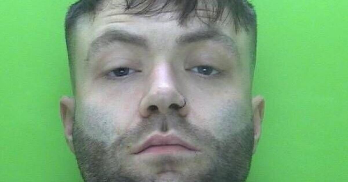 Man Jailed for Brutal Abuse of Puppy Leading to Severe Injuries