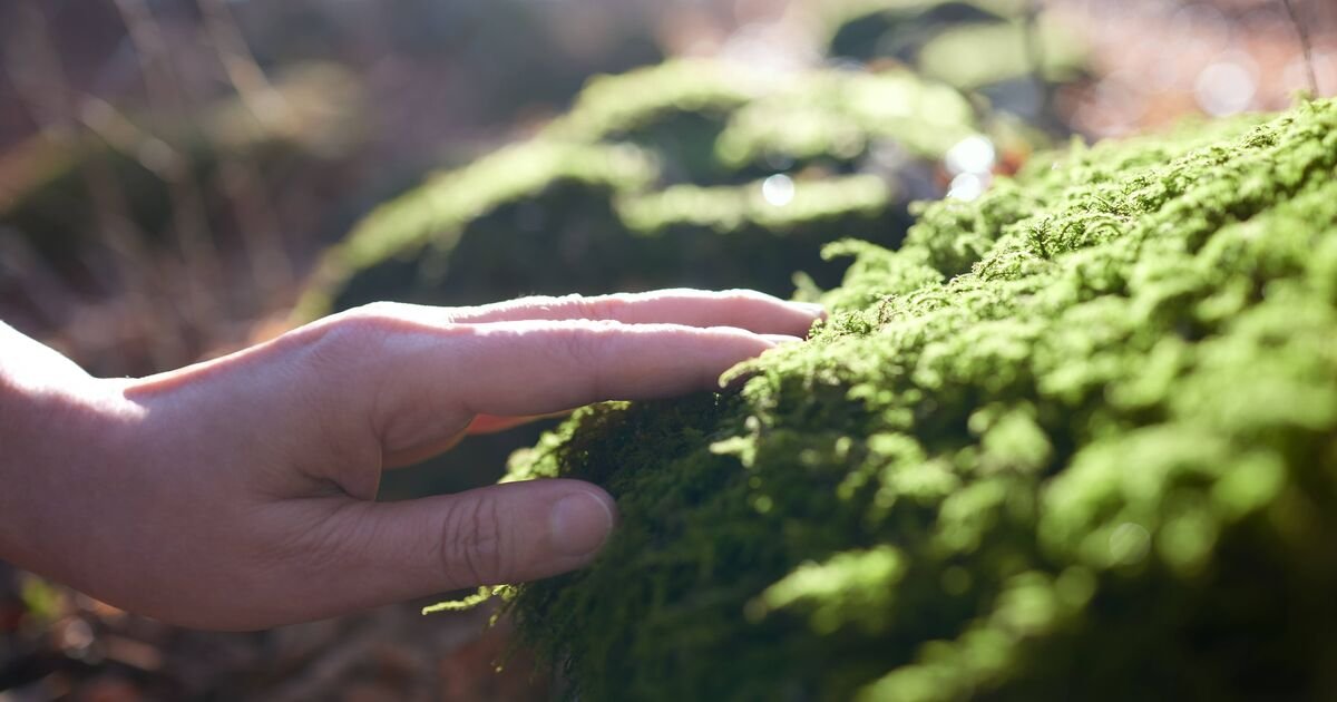 Essential Information on Health Topics You Should Be Aware Of