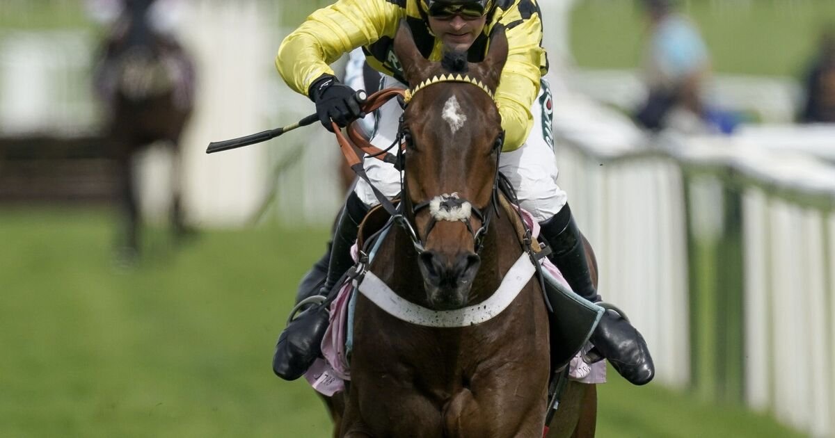 Sir Gino Injured at Cheltenham, Trainer Expresses Hope for Recovery