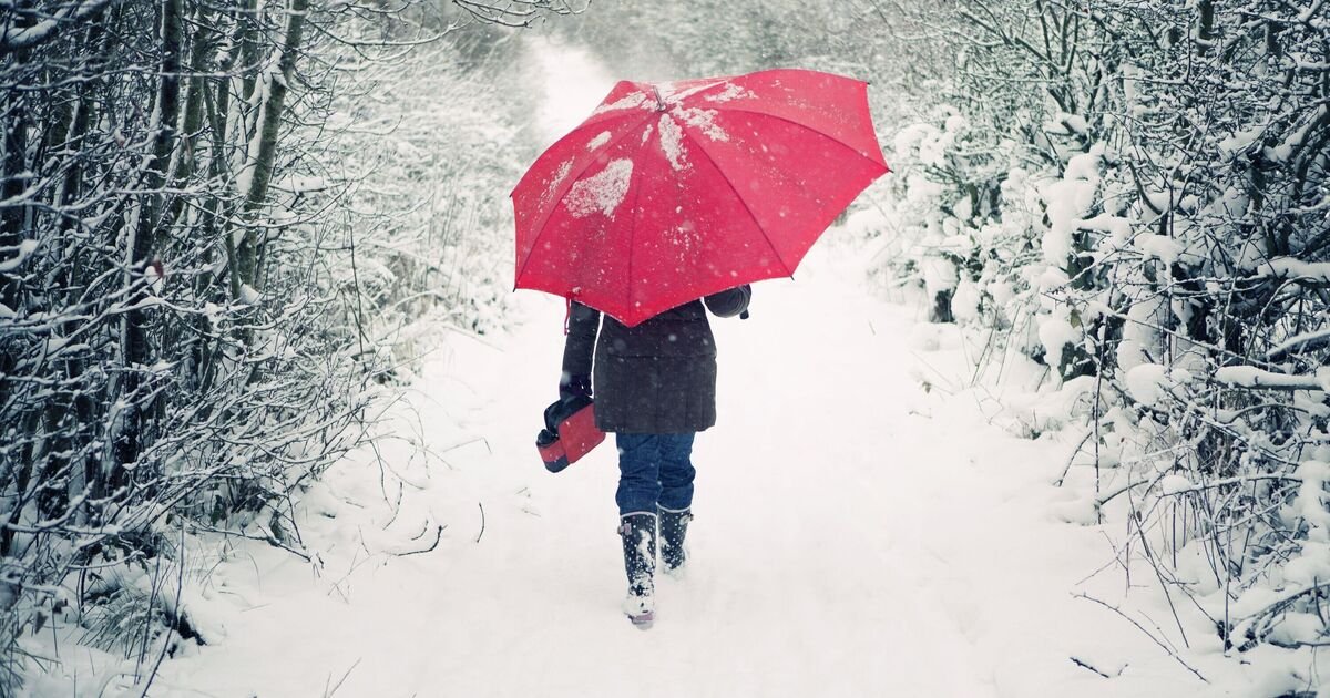 Widespread Snow Forecast for Britain, Only Five Counties Expected to Escape Blizzards